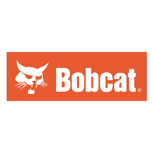 Bobcat